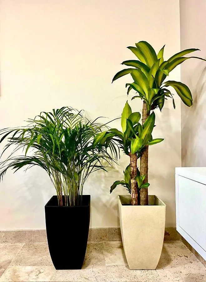 Elegant 1Br Aldea Zama Tulum Apartment